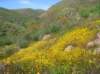 imgp5042_small.jpg
