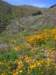 imgp5052_small.jpg