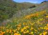 imgp5053_small.jpg