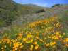 imgp5054_small.jpg