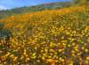 imgp5058_small.jpg
