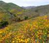 imgp5061_small.jpg
