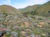 imgp5070_small.jpg