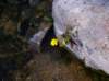 imgp5074_small.jpg
