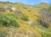 imgp5076_small.jpg
