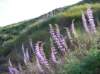 imgp5077_small.jpg