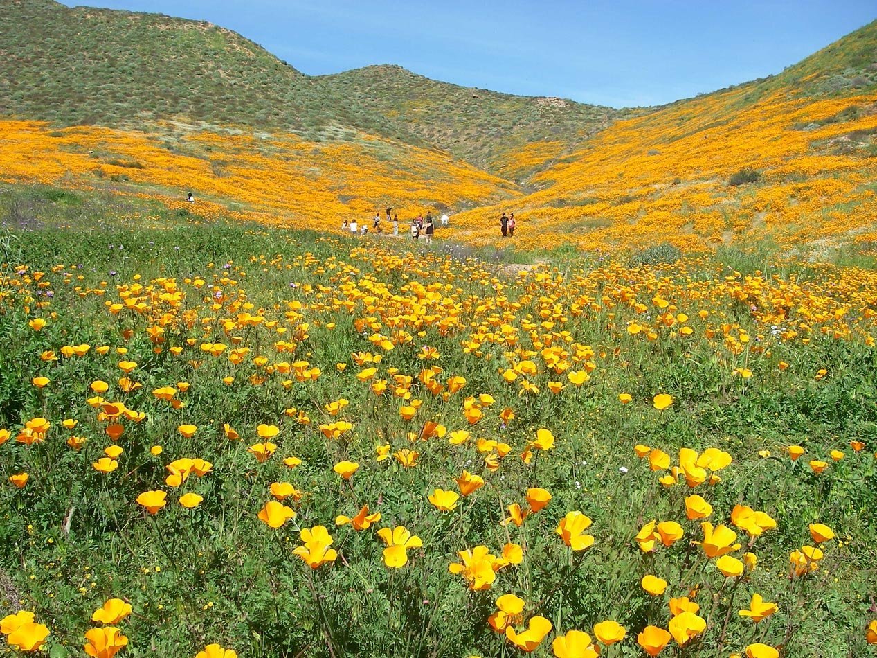 Tourists having a picnic at the easy patch off Lake St. and I15 near Lake Elsinore 3/8/2017