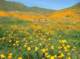 Tourists having a picnic at the easy patch off Lake St. and I15 near Lake Elsinore 3/8/2017