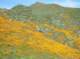 imgp0156_small.jpg
