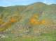 imgp0157_small.jpg