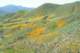 imgp0158_small.jpg