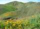 imgp0159_small.jpg