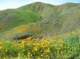 imgp0160_small.jpg