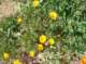 imgp0161_small.jpg