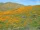imgp0162_small.jpg