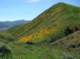 imgp0163_small.jpg