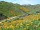 imgp0164_small.jpg