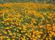 imgp0165_small.jpg