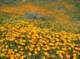 imgp0167_small.jpg