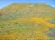 imgp0168_small.jpg
