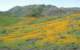 imgp0169_small.jpg