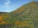 imgp0170_small.jpg