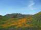 imgp0172_small.jpg