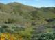 imgp0173_small.jpg