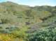 imgp0174_small.jpg