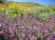 imgp0176_small.jpg