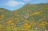 imgp0327_small.jpg