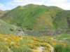 imgp0329_small.jpg