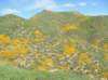 imgp0330_small.jpg