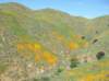 imgp0332_small.jpg