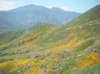 imgp0335_small.jpg