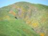 imgp0336_small.jpg