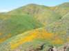 imgp0337_small.jpg