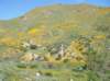imgp0344_small.jpg
