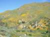 imgp0345_small.jpg
