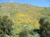 imgp0346_small.jpg