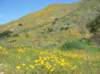imgp0349_small.jpg