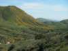 imgp0352_small.jpg