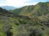 imgp0364_small.jpg