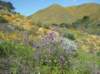 imgp0368_small.jpg