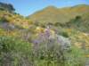 imgp0369_small.jpg