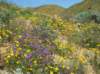 imgp0371_small.jpg