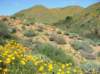 imgp0372_small.jpg
