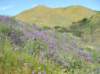 imgp0378_small.jpg