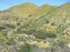 imgp0379_small.jpg