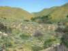 imgp0382_small.jpg
